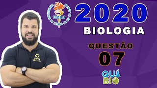 UERJ 2020  2o EQ  Questão 7  Os microtúbulos produzidos pelos centríolos costumam ser comparados [upl. by Nodlehs]