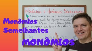 MONÔMIOS e MONÔMIOS SEMELHANTES  Exercícios e Exemplos  8º ano ‐ AULA 13 [upl. by Clyte]