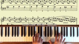 Piano Instruction Demo  Courant Limpide Burgmuller Op100 No7 [upl. by Zenobia503]