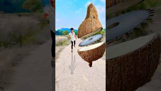 Mind blowing 🤯 Coconut 🥥 cutting photography ideas shorts editing photography coconut sort [upl. by Annoya]