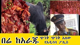 🐃 በሬ ከአራጁ ይውላል🔗 ትንሳኤና ቅርጫ 🚷 [upl. by Thamos]