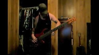 Primus  Wynonas Big Brown Beaver Bass Cover [upl. by Atlee]