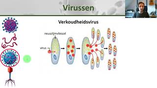 Biologie  Hoe bacteriën schimmels en virussen ons ziek maken  Gezondheid 7 [upl. by Eaner]