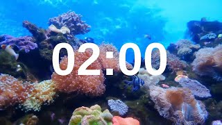 2 Minute Timer Relaxing Music Lofi Fish Background [upl. by Fulbert]