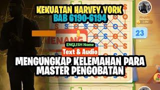 Harvey York Mengungkap Kelemahan Para Master Beladiri  Dam Bb 61956199 [upl. by Wiburg480]