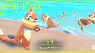 HOW TO GET Buizel in Pokémon Scarlet and Violet [upl. by Osbert986]