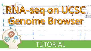 RNASEQ WITH THE UCSC GENOME BROWSER [upl. by Eanad17]