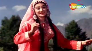 Kashmir Ki Kali Hoon Main  Junglee 1961  Lata Mangeshkar Songs  Shammi Kapoor  Saira Banu [upl. by Anasor127]