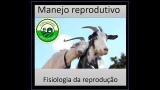 Aula 21 fisiologia reprodutiva de caprinos e ovinos [upl. by Yenohtna826]