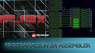 Retardos en assembler Tutorial completo y explicado 🆓 [upl. by Illac]