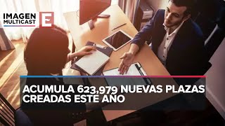 En agosto se crearon 111 mil 736 empleos formales en México [upl. by Enaed]