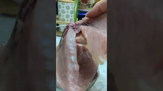 espadon grillé 🐟 اسبادون مشوي على طريقة المطاعم وصفات سهلة مع سارة 👩🏻‍🍳 [upl. by Clim6]