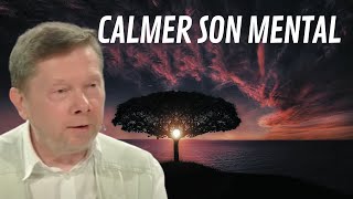 Comment se libérer du mental   Eckhart TOLLE [upl. by Fital]