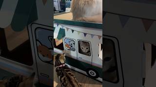 New Car For The Kittens 🐱☺️  Week 10  Short 325 cat kitten animals pets dailyvlog [upl. by Ahsed]