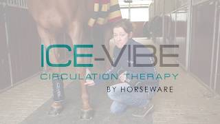 Ice Vibe Therapy What should I use Ice Vibe Therapy for [upl. by Hardunn283]