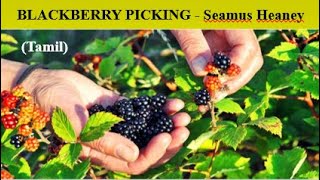 BlackberryPicking by Seamus Heaney Tamil blackberrypickingseamusheaneypoemsummaryanalysis [upl. by Hartman]