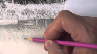 More Helpful Tips For Drawing Realistic Grass [upl. by Michigan754]