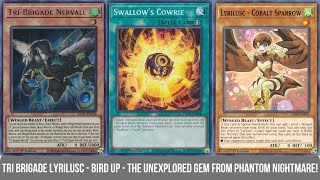 Lyrilusc Tri Brigade Deck  Insane Consistency Boost Post PHNI [upl. by Brownley157]