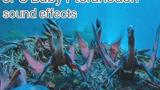 JP3 Baby Pteranodon sound effects [upl. by Mcgurn]