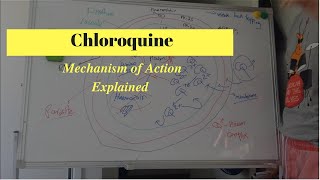 Antimalarial Drug Mechanism of Action  What is Chloroquine [upl. by Hoashis]