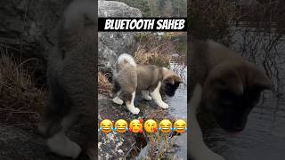 Bluetooth saheb  dog helpers dog doglover animals pets vlog minivlog puppy yts viralshort [upl. by Grefe]