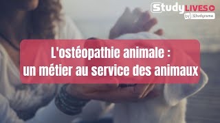 Lostéopathie animale  un métier au service des animaux [upl. by Aillimat293]