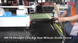 Straight Line Rip Saw HOLYTEK [upl. by Bohs]