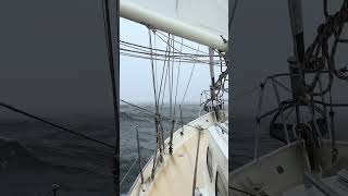 Sailing to Namibia in the fog [upl. by Stichter741]