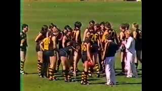 1985 SANFL Grand Final  Glenelg vs North Adelaide [upl. by Niwrek43]