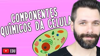 COMPONENTES QUÍMICOS DA CÉLULA Biologia com Samuel Cunha [upl. by Eversole483]