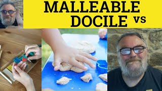 🔵 Malleable vs Docile Meaning  Docility or Malleability Examples  Malleable and Docile Difference [upl. by Nosaes]