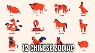 The 12 Chinese Zodiac Signs amp What They Mean for Your Personality And The Year Ahead  Ziggy Natural [upl. by Bessy]