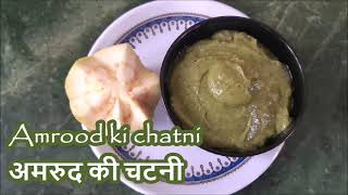 Amrood ki Chatni  अमरुद की चटनी  The Chatkaraa Kitchen [upl. by Kristos]