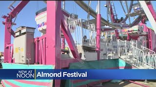 56th Annual Almond Blossom Festival Taking Over Ripon [upl. by Birdella482]