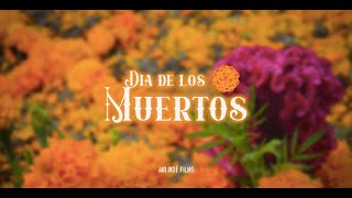 DÍA DE LOS MUERTOS  Documental [upl. by Amer763]