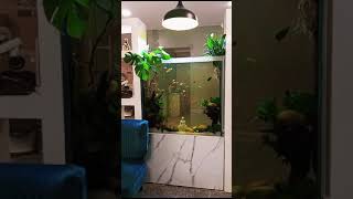 Partition Planted Aquarium Designed By Aquarist Design Studio [upl. by Jessen]