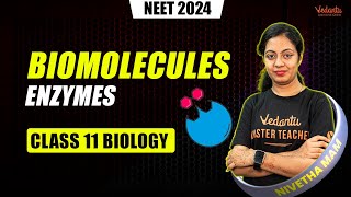 Biomolecules Enzymes  Class 11  NEET 2024  Nivetha Mam [upl. by Liatrice883]