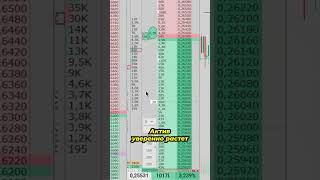 Прибыльная торговая стратегия  Крупная заявка в стакане [upl. by Ij]