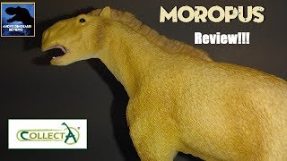 Collecta quotDeluxequot Moropus Review [upl. by Haroppizt]