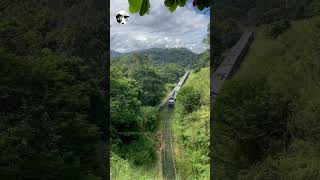 Podi Menike Badulla Colombo Train at Demodara Rail Loop😍 shorts train travel srilanka trainloon [upl. by Petuu881]