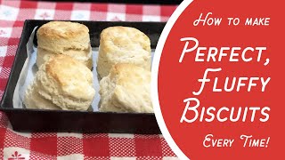 How to Make Perfect Fluffy Biscuits EVERY TIME 3 ingredients selfrising flour milk amp butter [upl. by Nanci]