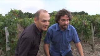 Best Wines Online Chateau BelleVue Haut Medoc Bordeaux Part 2 [upl. by Marwin868]