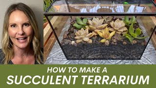 How to make a succulent terrarium by Ferrisland with Moody Blooms [upl. by Kelwunn]