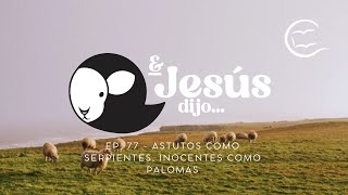 Ep 77  Astutos como serpientes inocentes como palomas [upl. by Ludwog550]