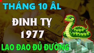 Tử vi tuổi ĐINH TỴ 1977 tháng 10 âm lịch LAO ĐAO HAO HỤT ĐỦ ĐƯỜNG [upl. by Ianej20]