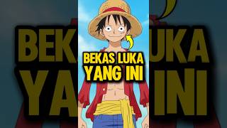 Gimana Luffy Dapet LUKA Di Bawah Matanya 🩹 onepiece animeindo [upl. by Livvy]