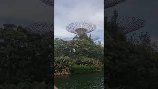 Supertrees Overlooking Dragonfly Lake Gardens by the Bay Singapore March 2024 gardensbythebay [upl. by Nawad]