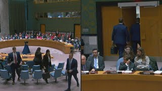 UN Israeli delegation walks out of Security Council meeting  AFP [upl. by Avle]