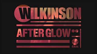 Wilkinson feat Becky Hill  Afterglow Aydn Remix [upl. by Asinet]