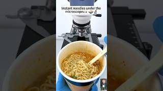 Instant noodles under the microscopeshorts microscope cat microscopic science [upl. by Joiner691]